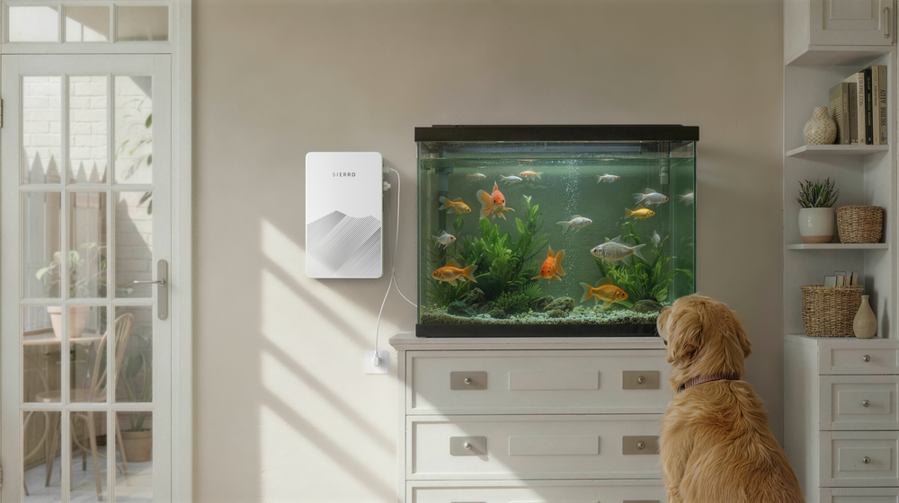 Fish Tank