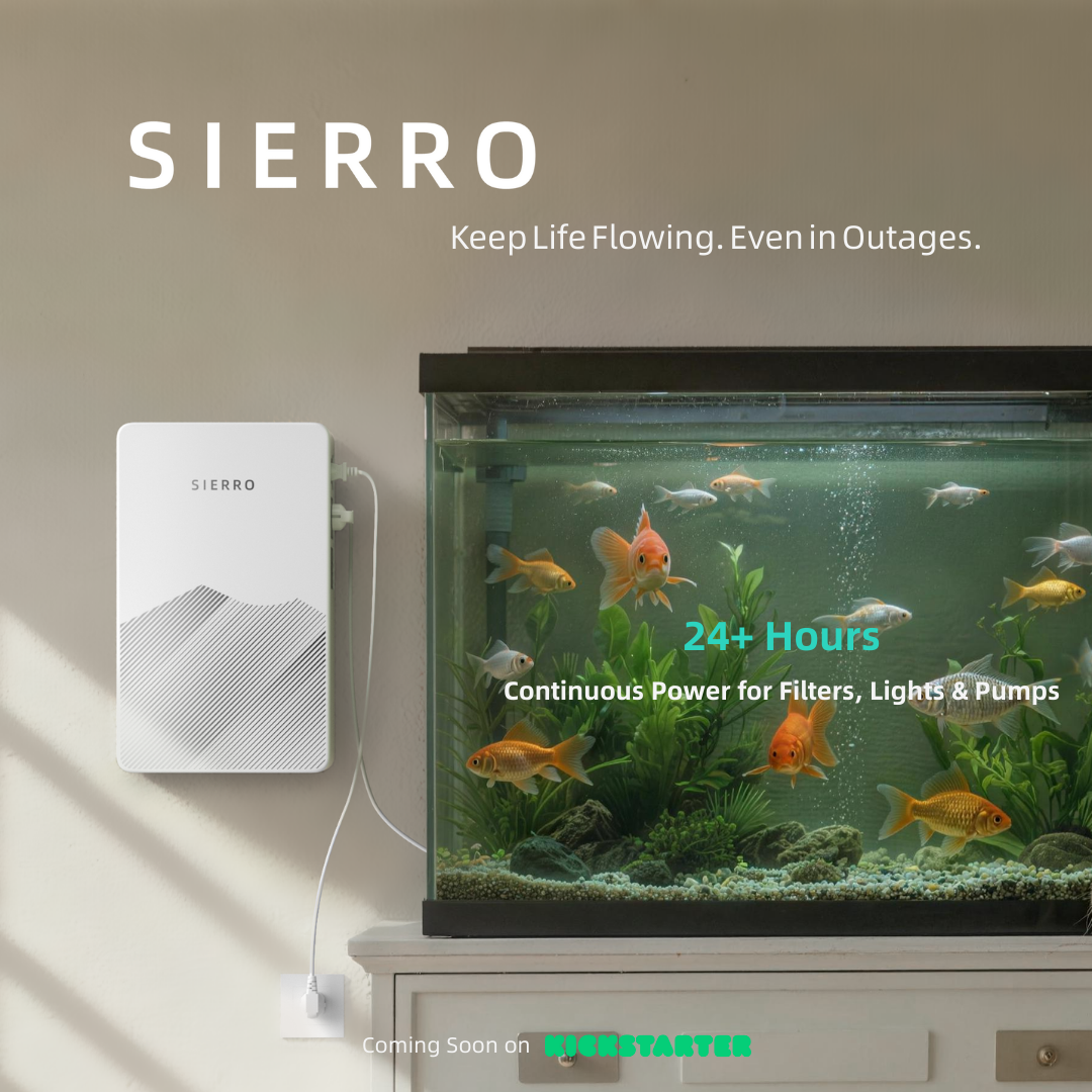 Reserve Your Founder's Edition for $9.9