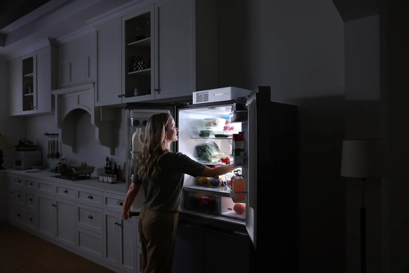 Refrigerator kept running by Sierro 2000