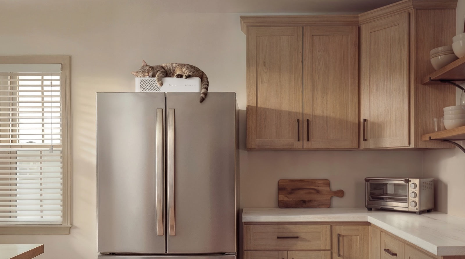 Sierro 2000 positioned above a refrigerator